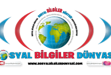 sosyal bilgiler